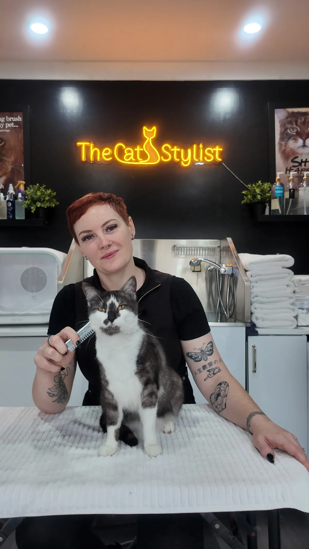 Cat groomer trimming a grey tabby cat's nails at a cat-only salon
